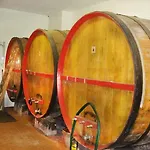 Cascina Fietta - Wine Dreams Pontestura