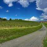 Cascina Fietta - Wine Dreams