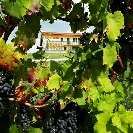 Cascina Fietta - Wine Dreams Gospodarstwo wiejskie *