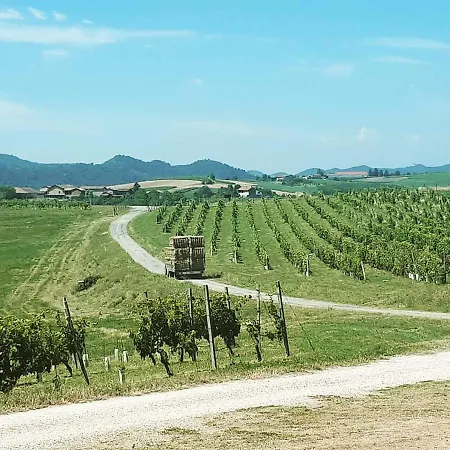Cascina Fietta - Wine Dreams Gospodarstwo wiejskie Pontestura