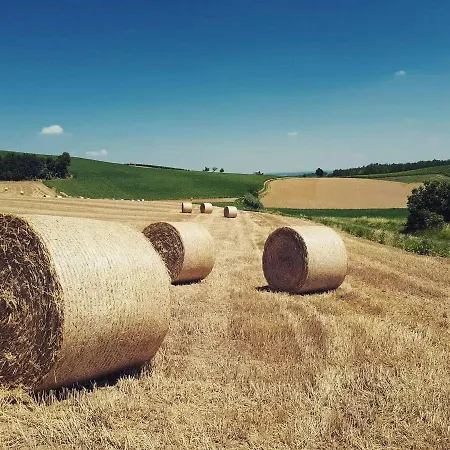 Cascina Fietta - Wine Dreams * Pontestura
