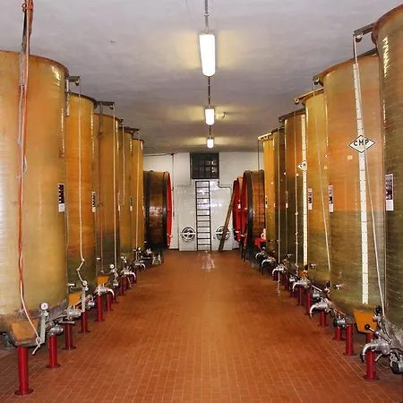 Cascina Fietta - Wine Dreams Pontestura