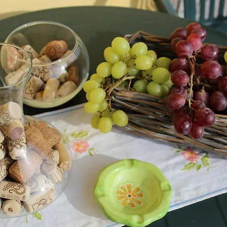 Gospodarstwo wiejskie Cascina Fietta - Wine Dreams *
