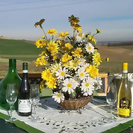 منزل ريفي Cascina Fietta - Wine Dreams