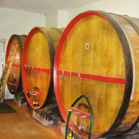 Cascina Fietta - Wine Dreams Pontestura