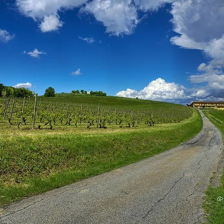 Cascina Fietta - Wine Dreams
