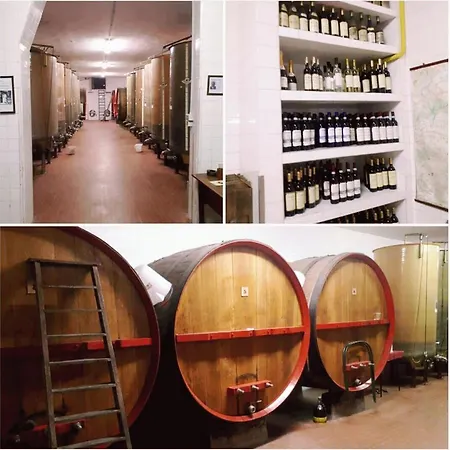 منزل ريفي Cascina Fietta - Wine Dreams *