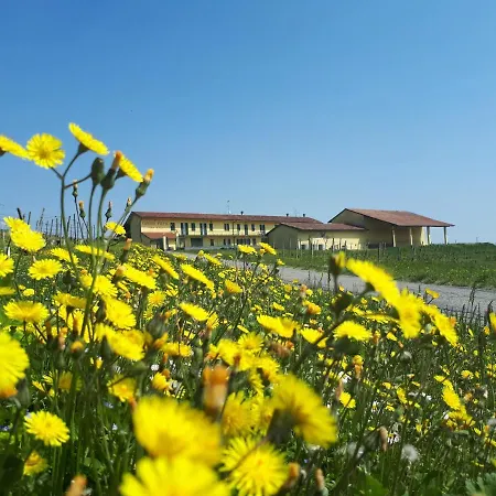 Cascina Fietta - Wine Dreams *